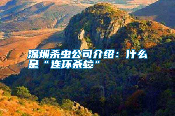 深圳杀虫公司介绍:什么是“连环杀蟑”